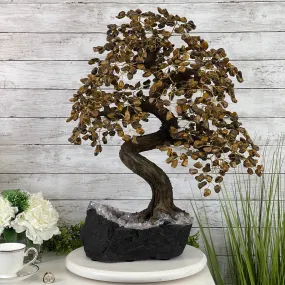 25" Tall Large Handmade Tiger's Eye Gemstone Tree on an Amethyst Base, 720 gems #5407TE-001 by Brazil Gems