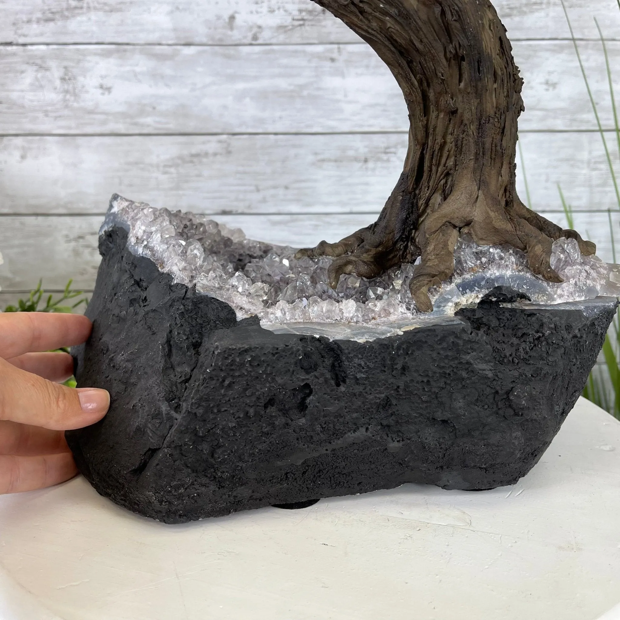 25" Tall Large Handmade Tiger's Eye Gemstone Tree on an Amethyst Base, 720 gems #5407TE-001 by Brazil Gems