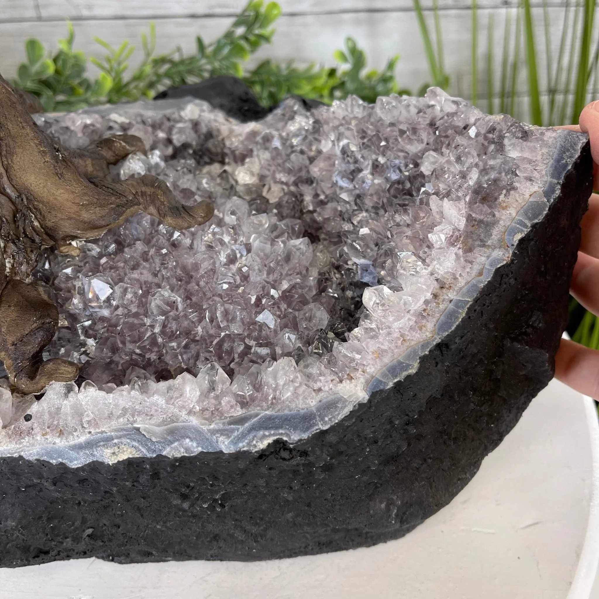 25" Tall Large Handmade Tiger's Eye Gemstone Tree on an Amethyst Base, 720 gems #5407TE-001 by Brazil Gems