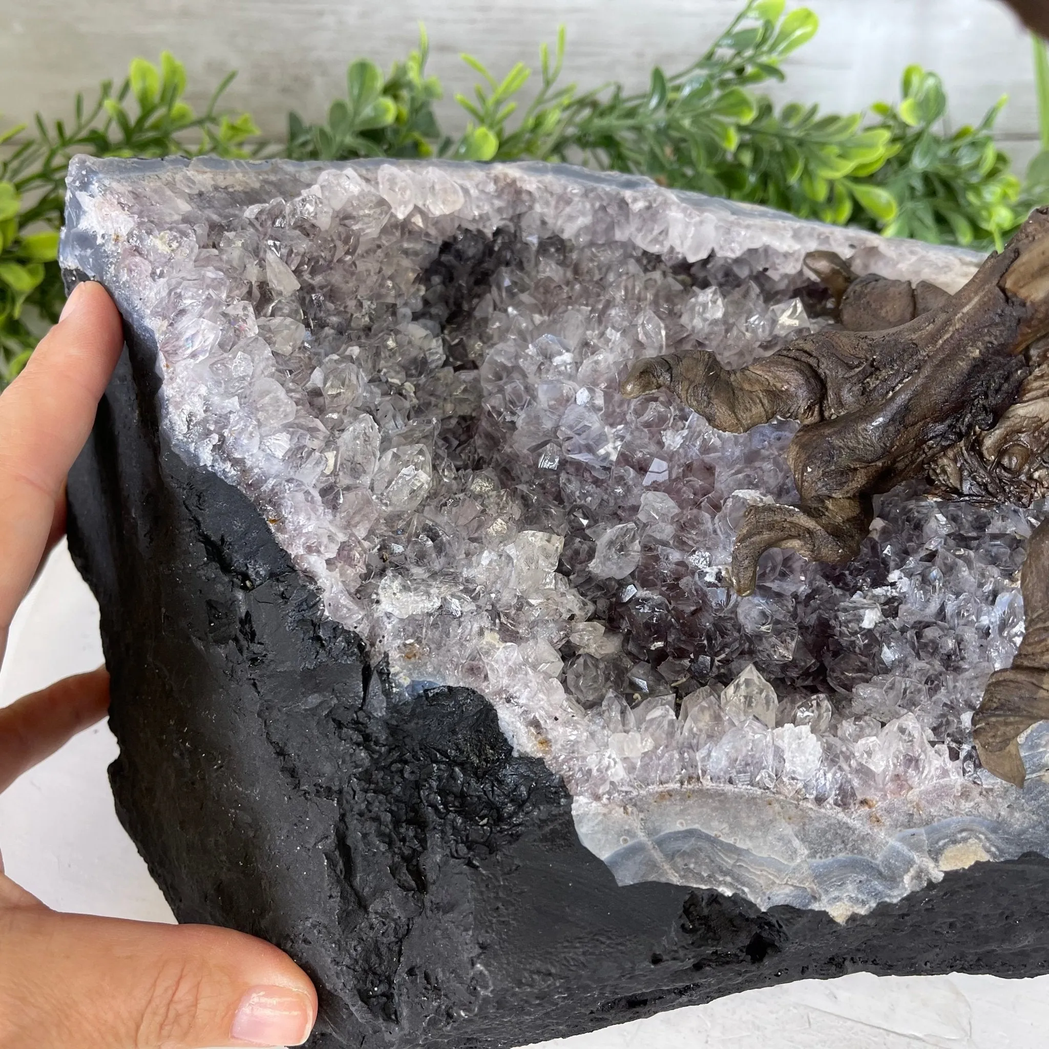 25" Tall Large Handmade Tiger's Eye Gemstone Tree on an Amethyst Base, 720 gems #5407TE-001 by Brazil Gems