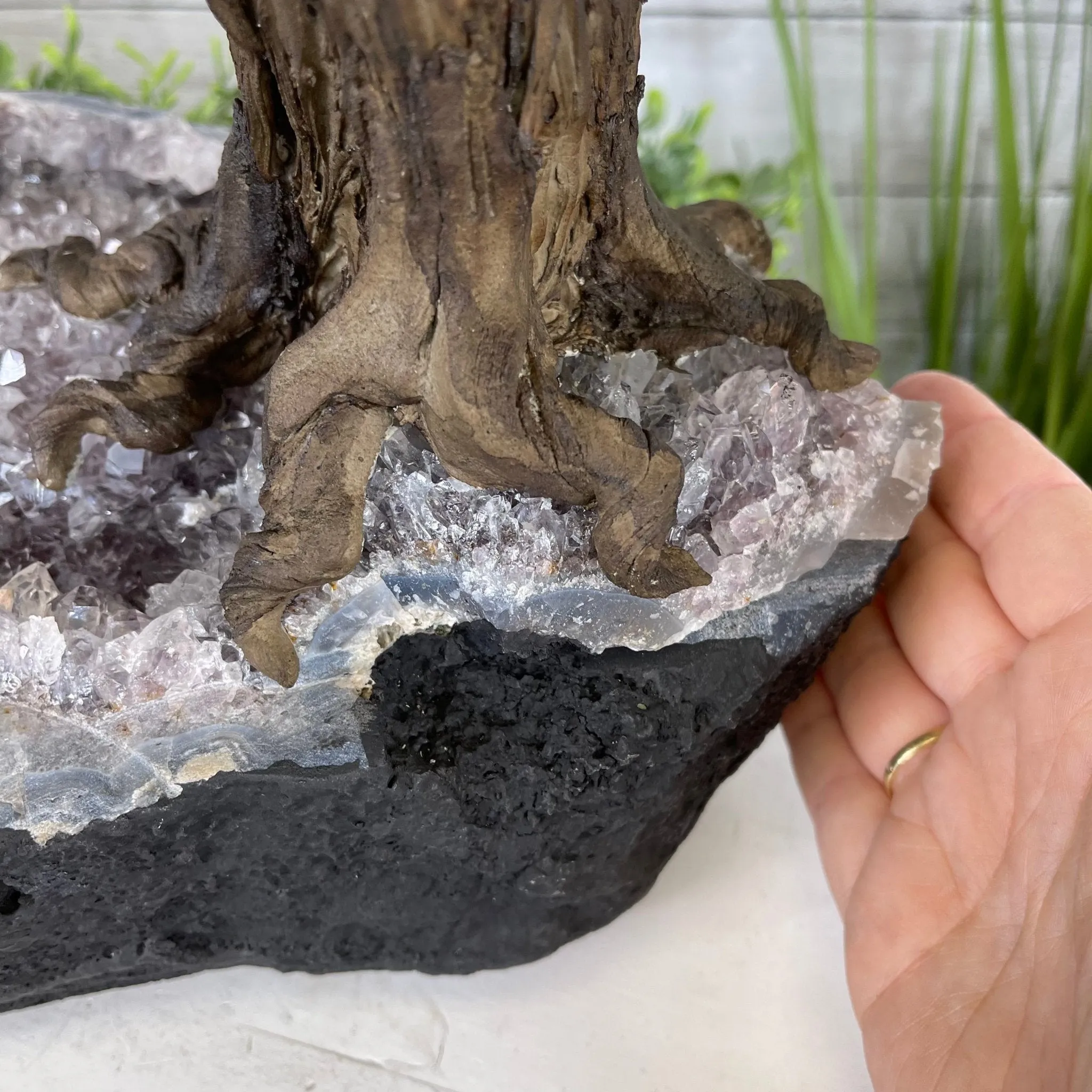 25" Tall Large Handmade Tiger's Eye Gemstone Tree on an Amethyst Base, 720 gems #5407TE-001 by Brazil Gems
