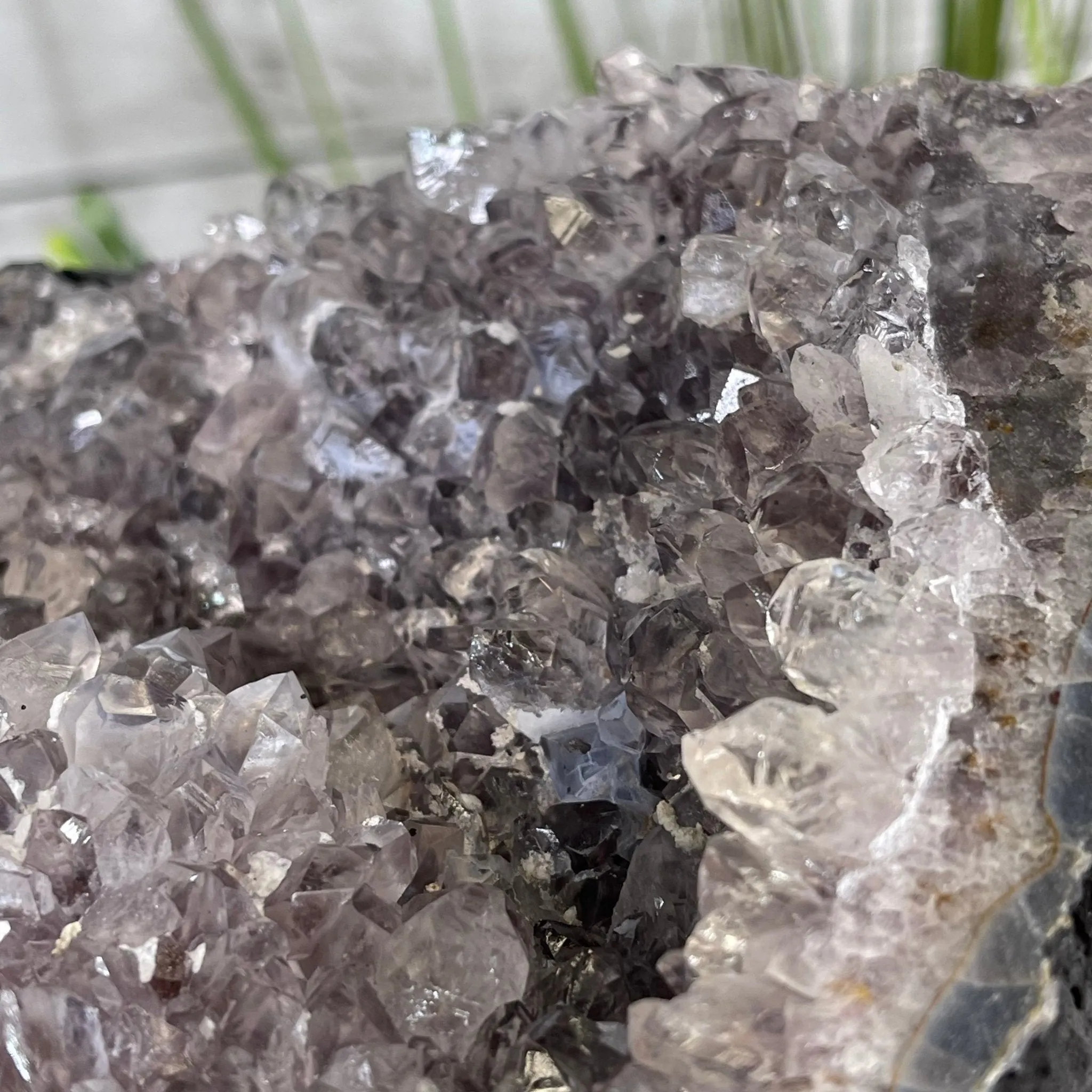 25" Tall Large Handmade Tiger's Eye Gemstone Tree on an Amethyst Base, 720 gems #5407TE-001 by Brazil Gems