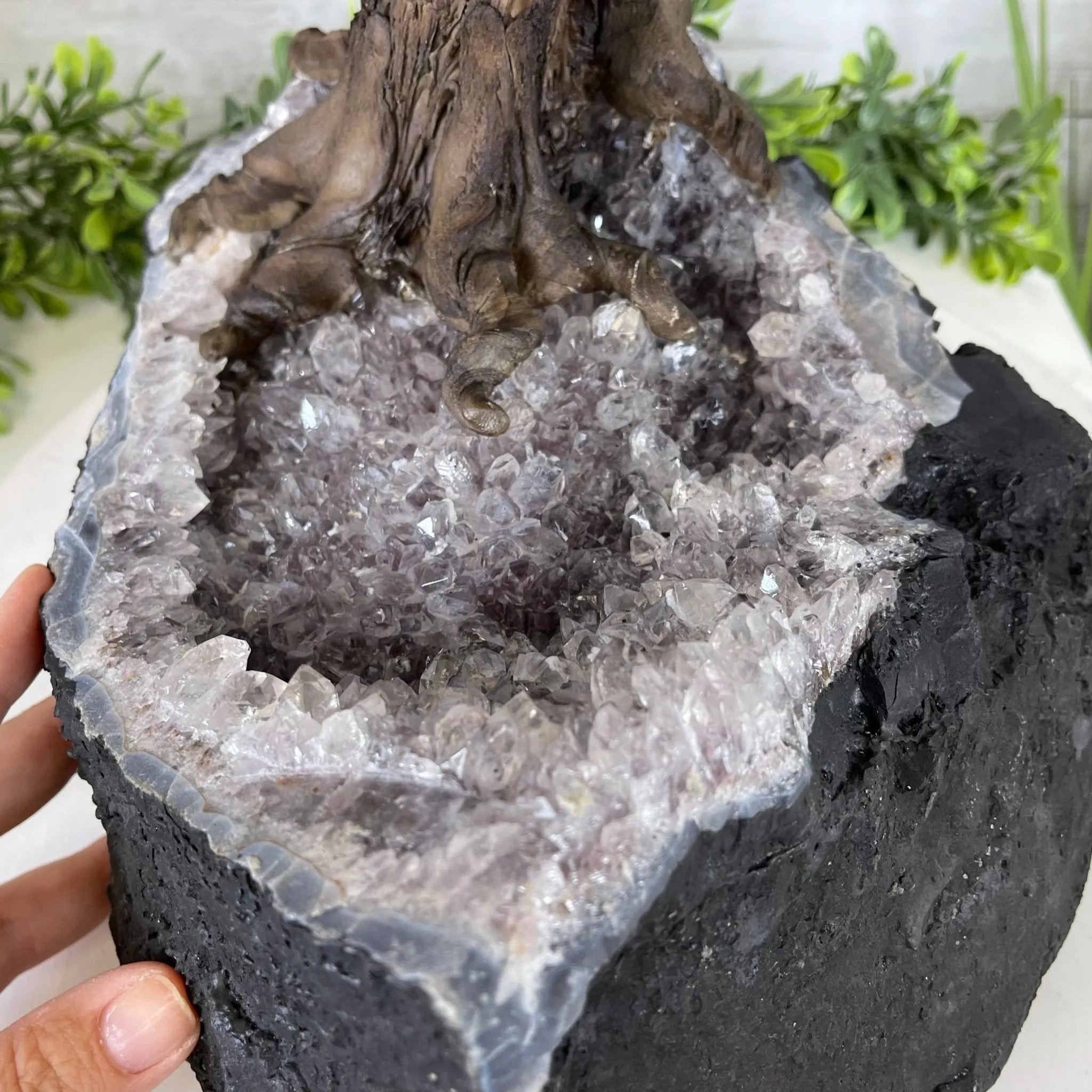 25" Tall Large Handmade Tiger's Eye Gemstone Tree on an Amethyst Base, 720 gems #5407TE-001 by Brazil Gems