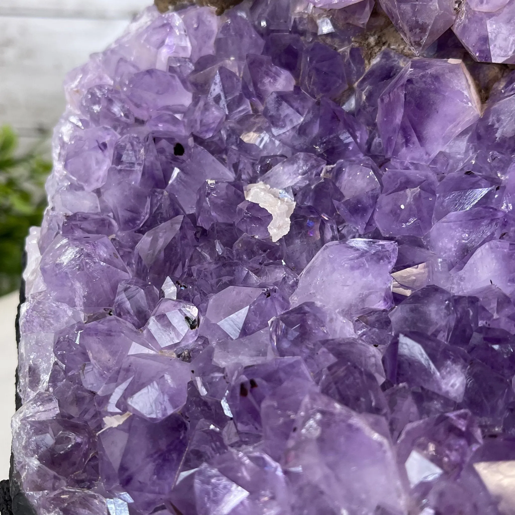 25" Tall Large Handmade Tiger's Eye Gemstone Tree on an Amethyst Base, 720 gems #5407TE-002 by Brazil Gems