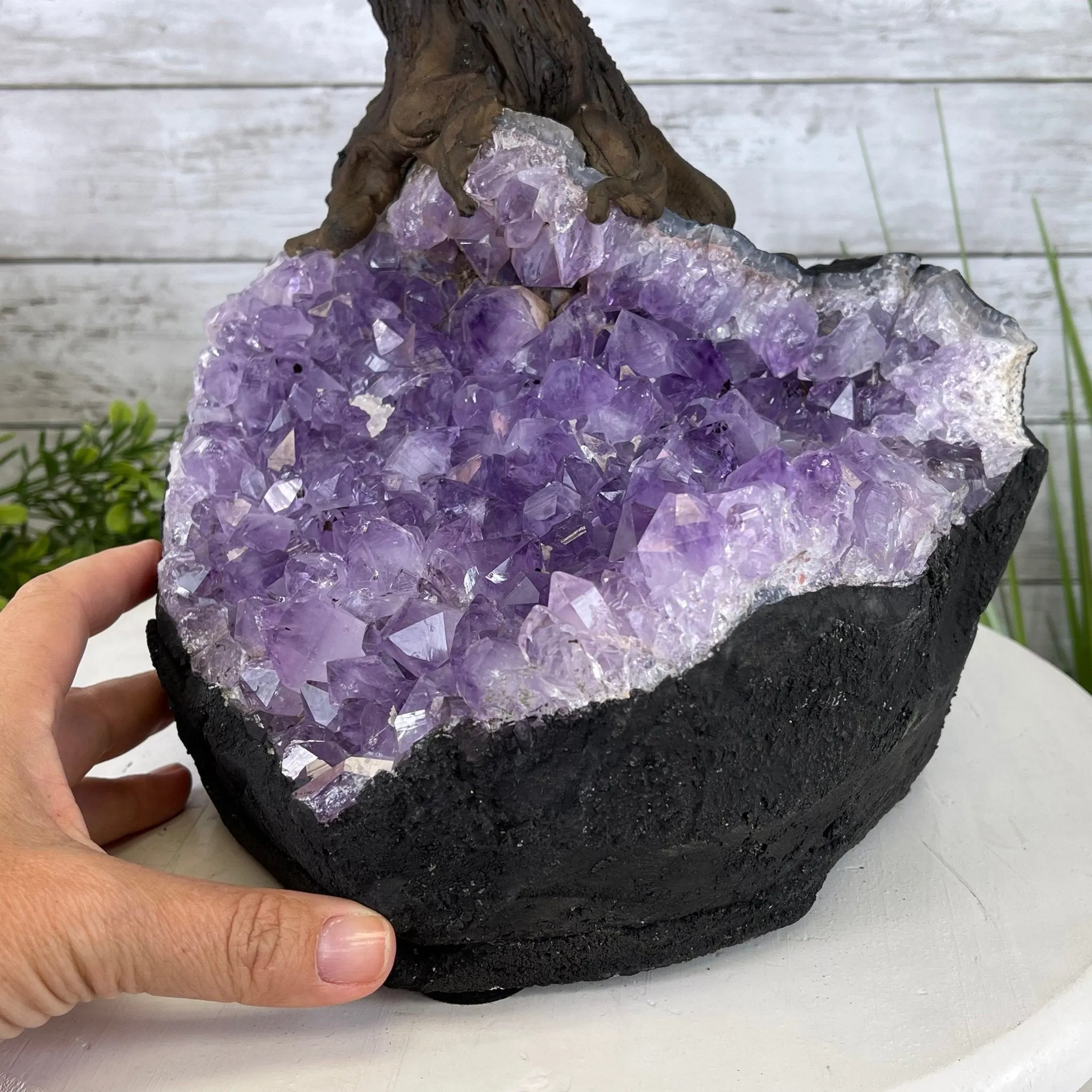 25" Tall Large Handmade Tiger's Eye Gemstone Tree on an Amethyst Base, 720 gems #5407TE-002 by Brazil Gems