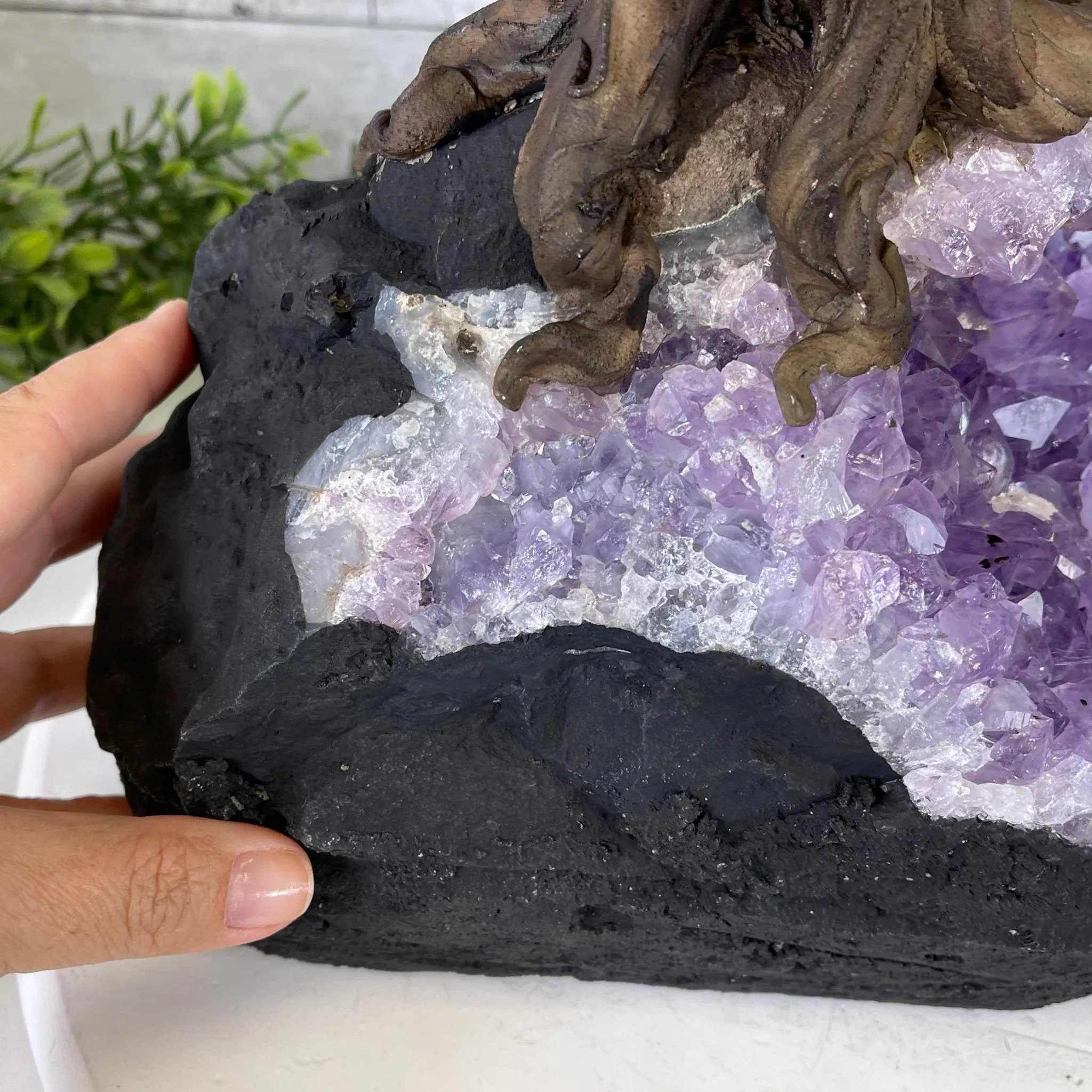 25" Tall Large Handmade Tiger's Eye Gemstone Tree on an Amethyst Base, 720 gems #5407TE-002 by Brazil Gems