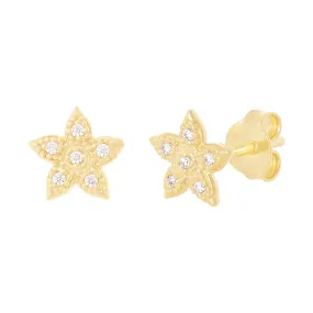 9ct Yellow Gold Silver Infused Star Stud Earrings with Cubic Zirconia
