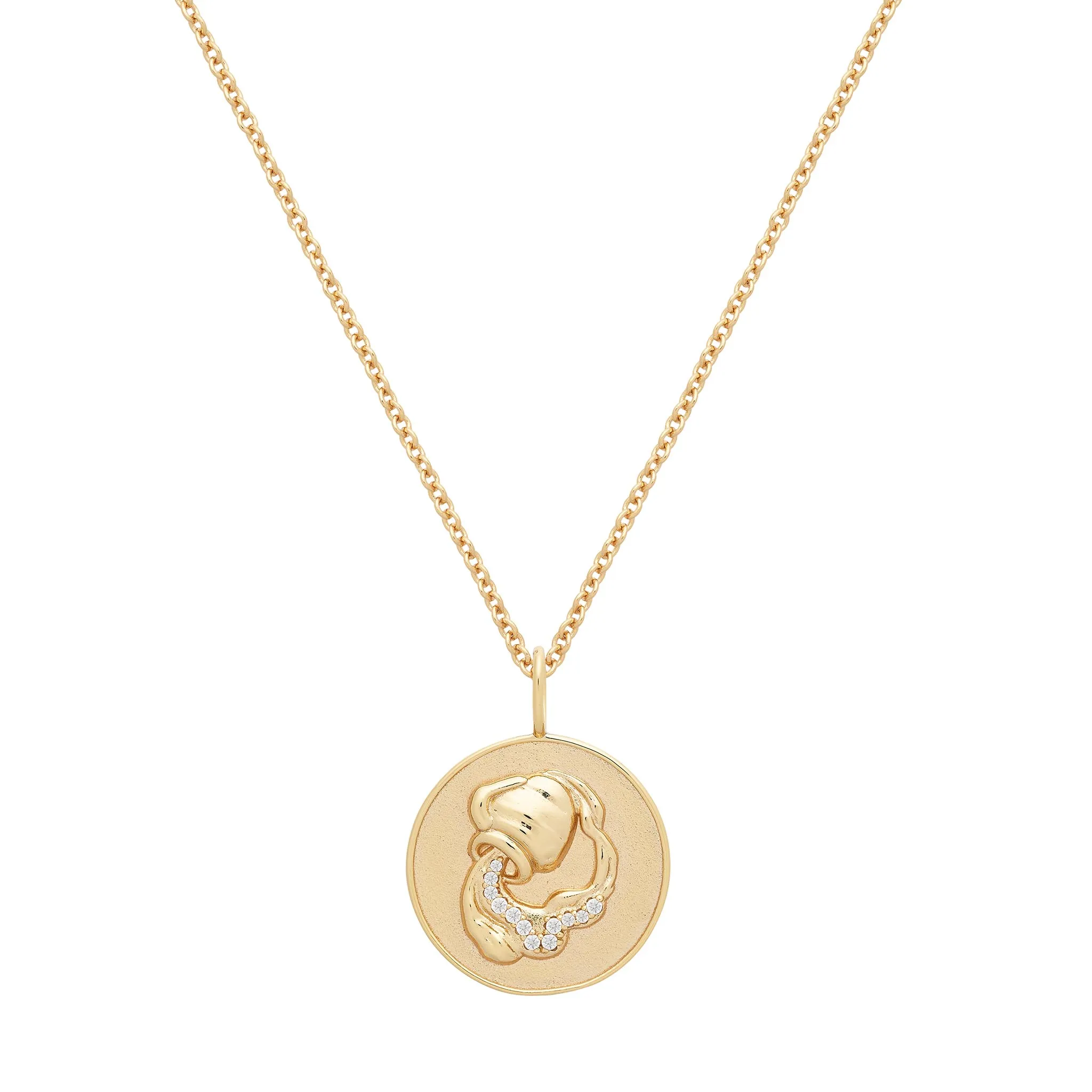 Aquarius Zodiac Necklace