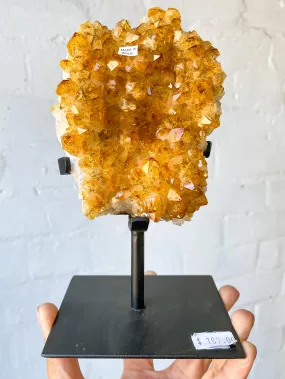 Citrine Cluster On Stand C26