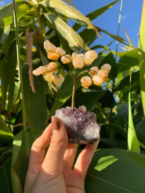 Heated Citrine Tree Amethyst Cluster Brazil
