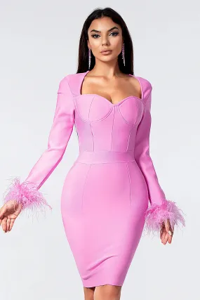 Koralia Feather Mini Dress in Pink