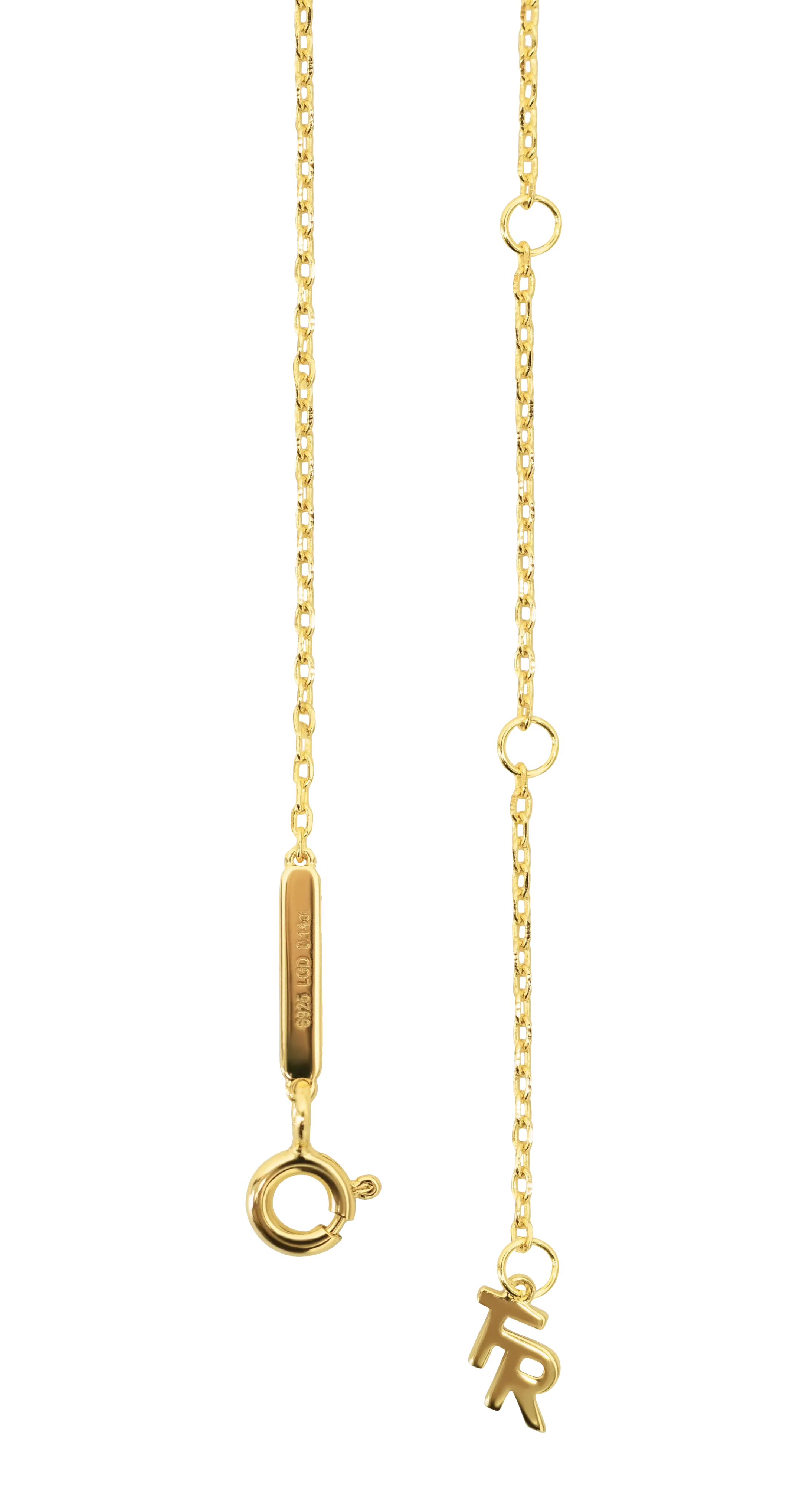 Leo medallion pendant necklace