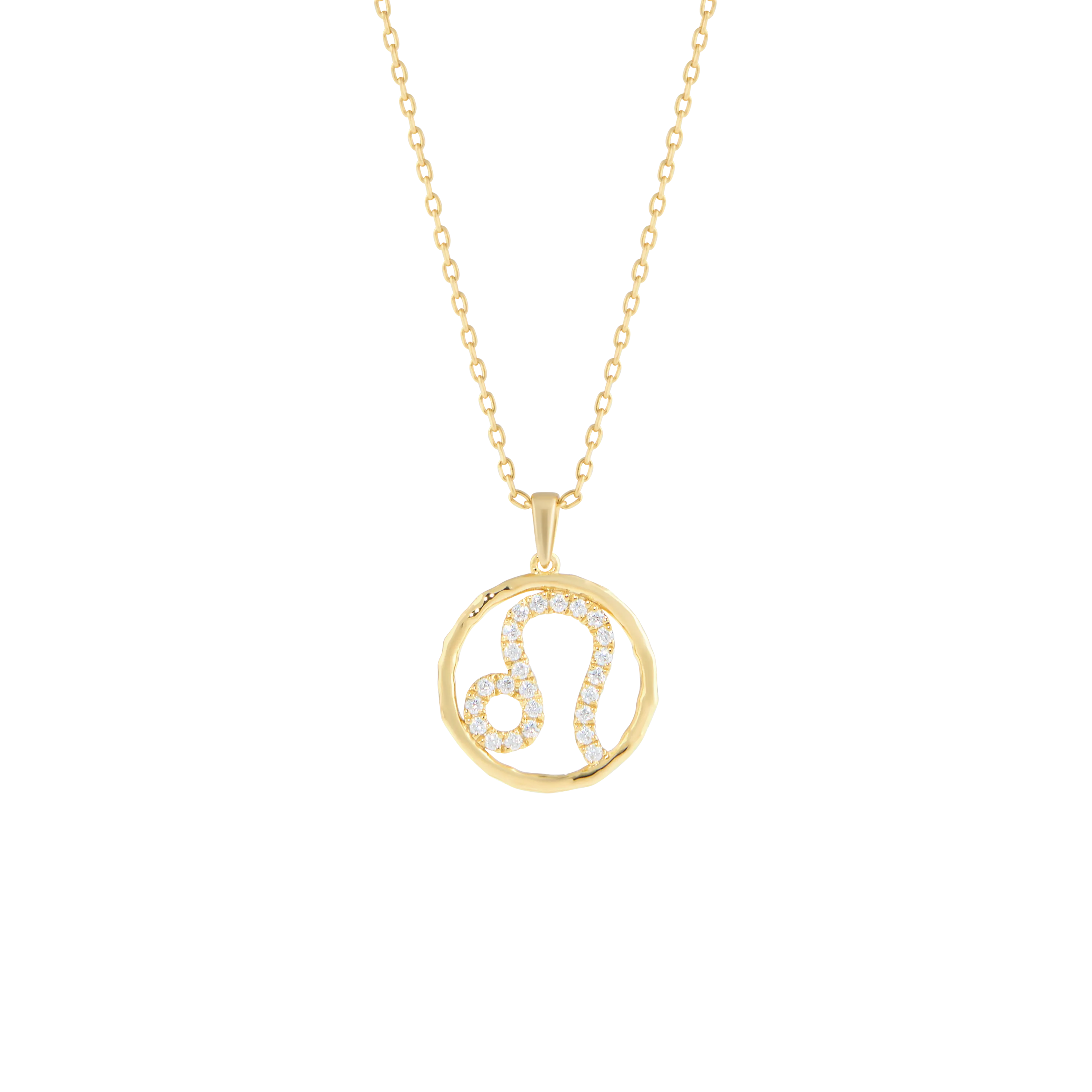 Leo medallion pendant necklace