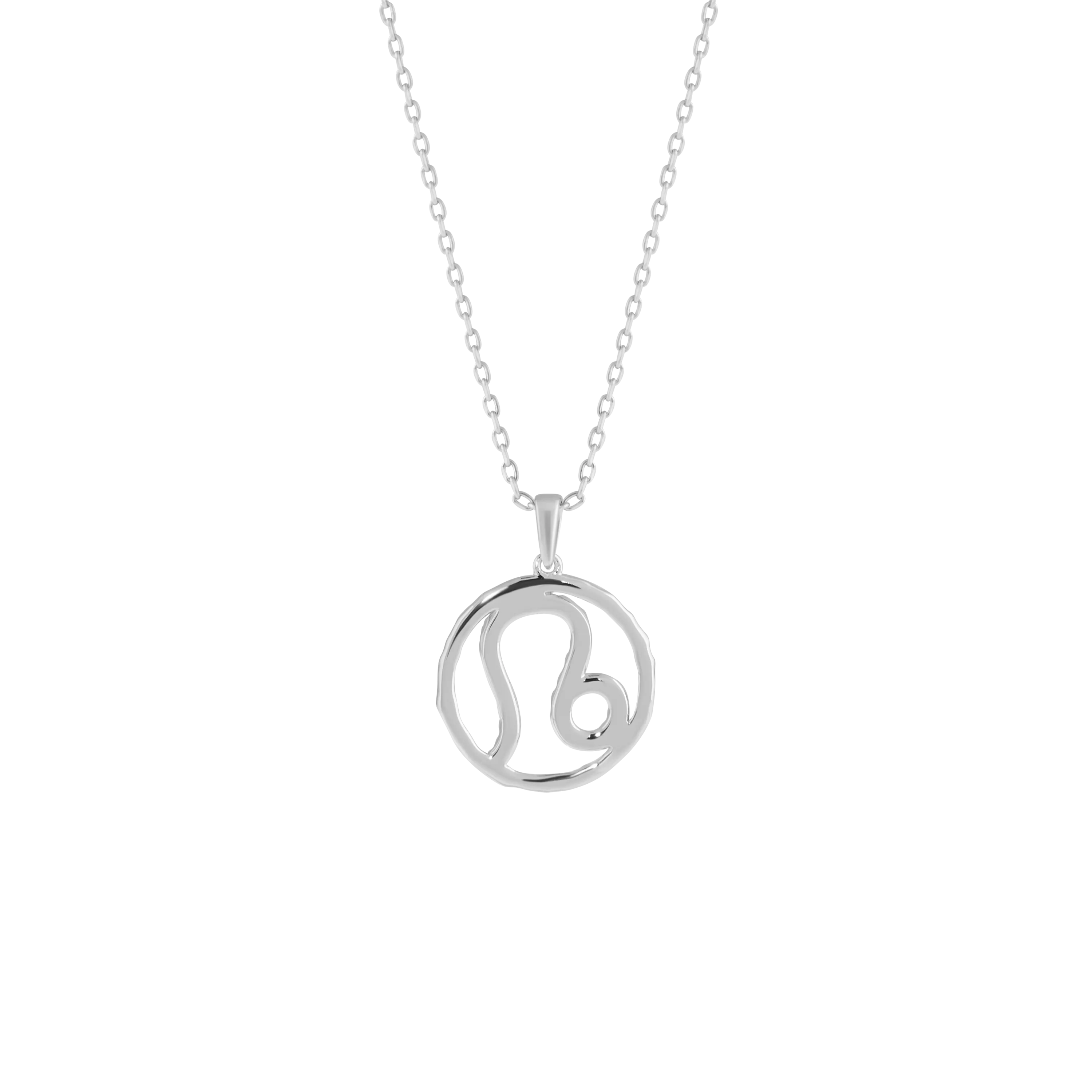 Leo medallion pendant necklace