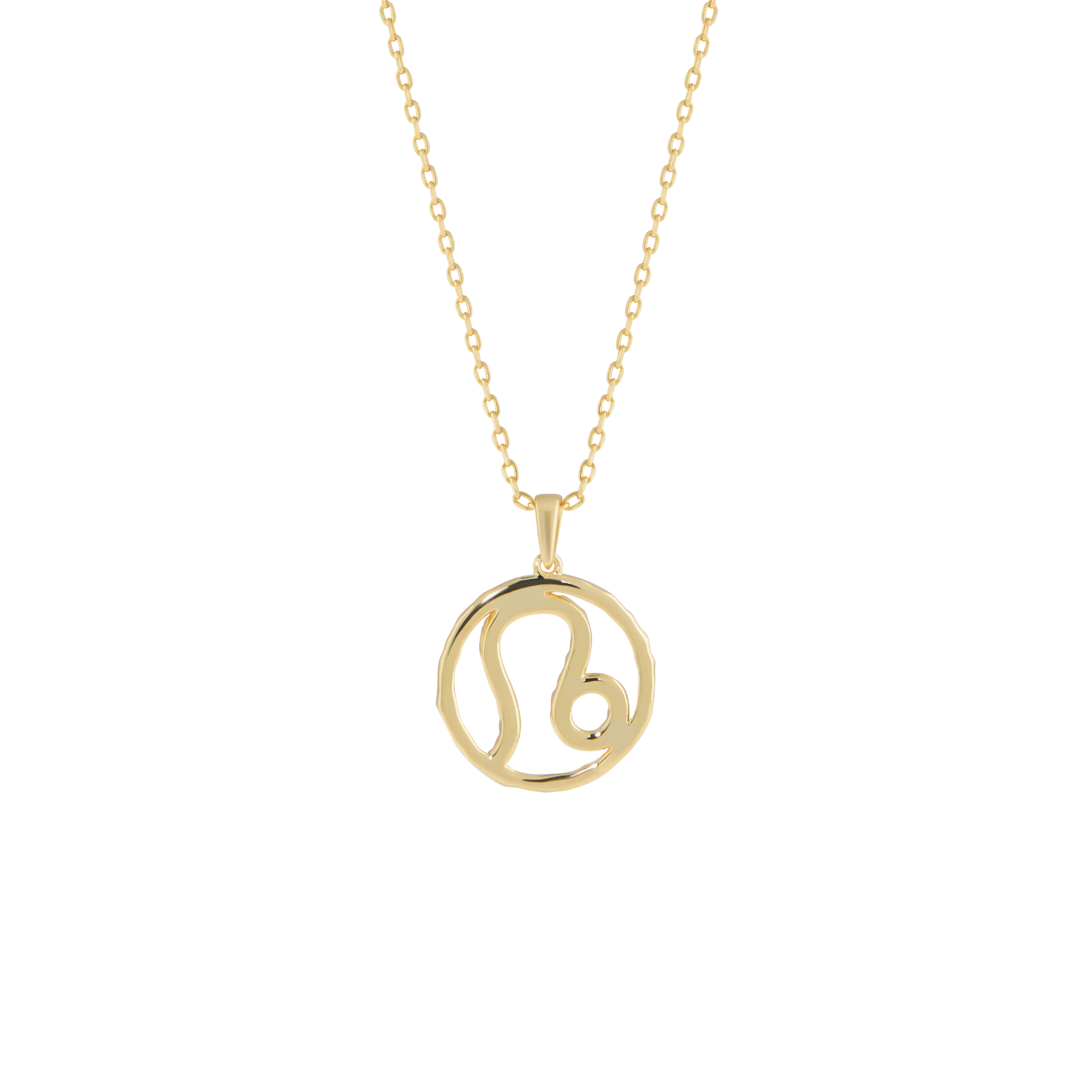 Leo medallion pendant necklace