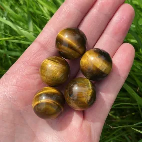 Mini Tiger’s Eye Sphere