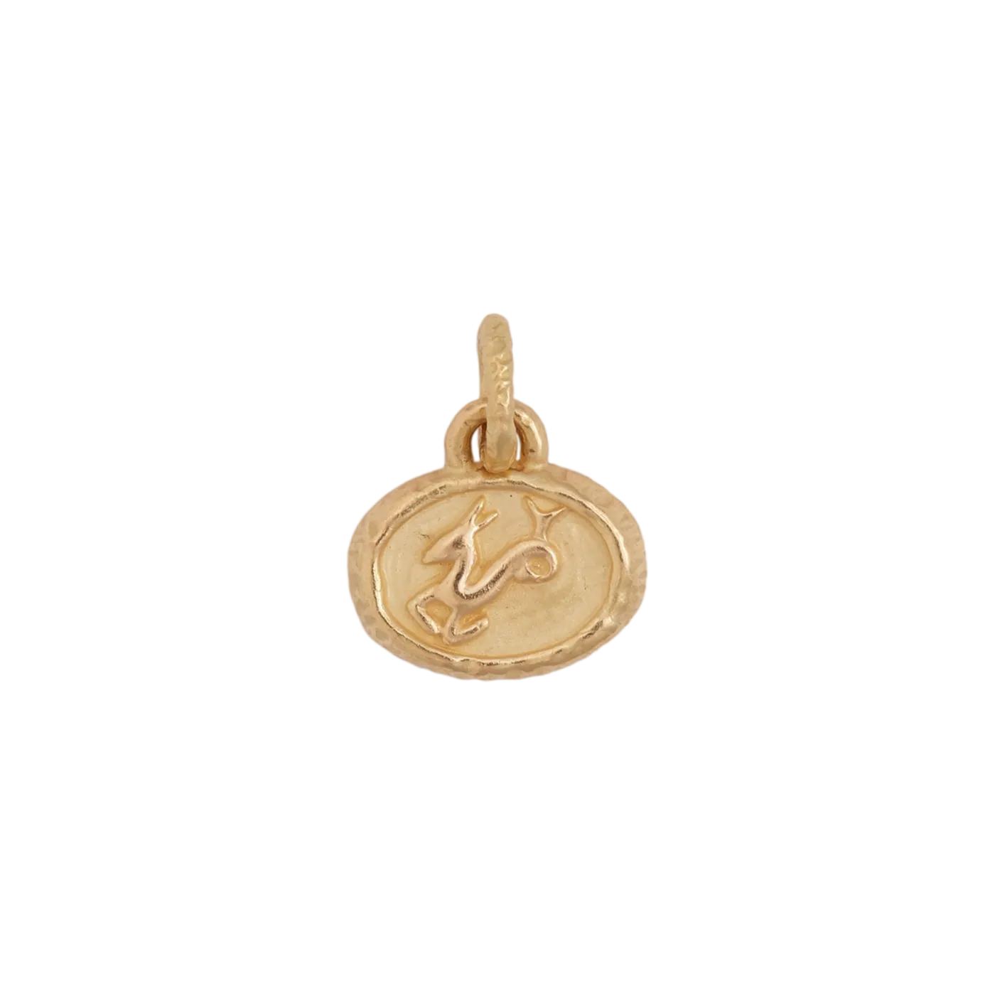 Petite Capricorn Pendant
