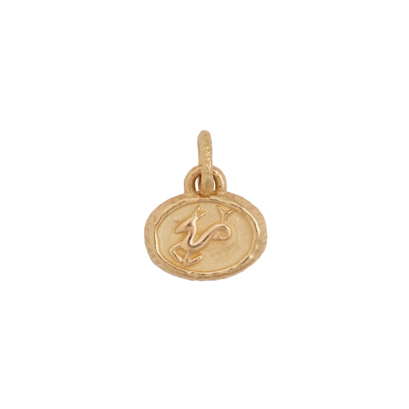 Petite Capricorn Pendant