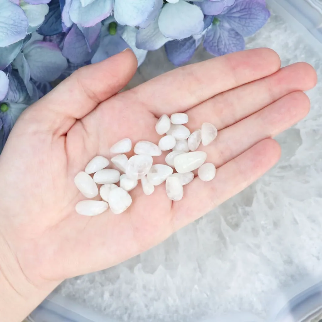 Rainbow Moonstone Mini Tumble Set