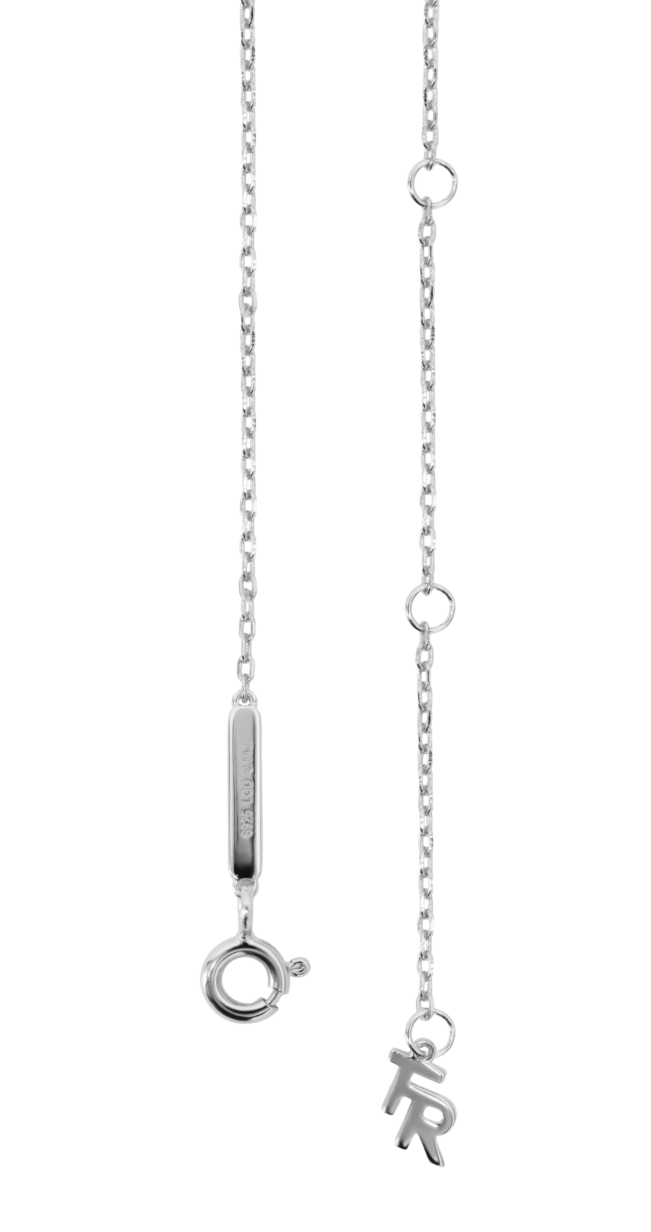 Scorpio medallion pendant necklace
