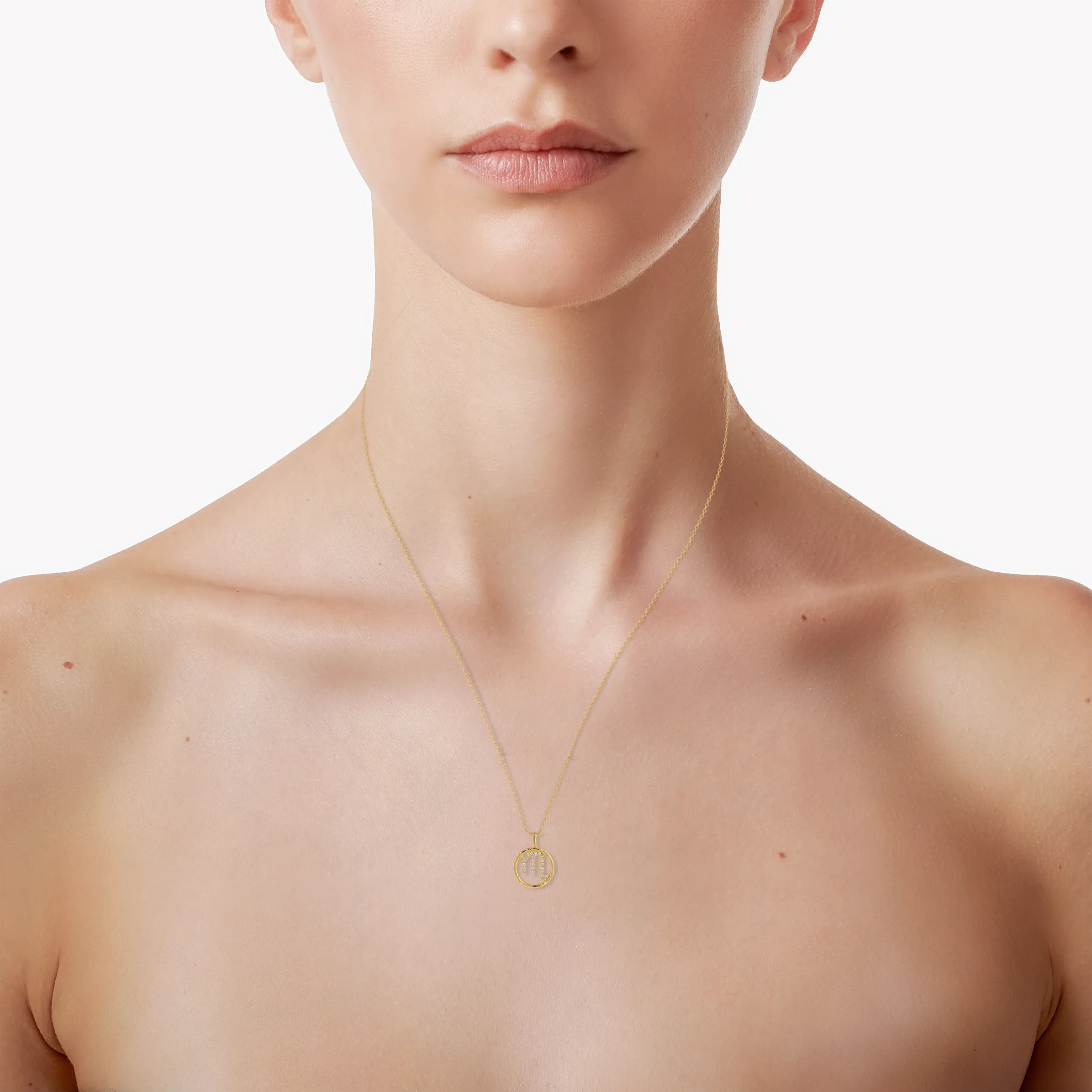Scorpio medallion pendant necklace