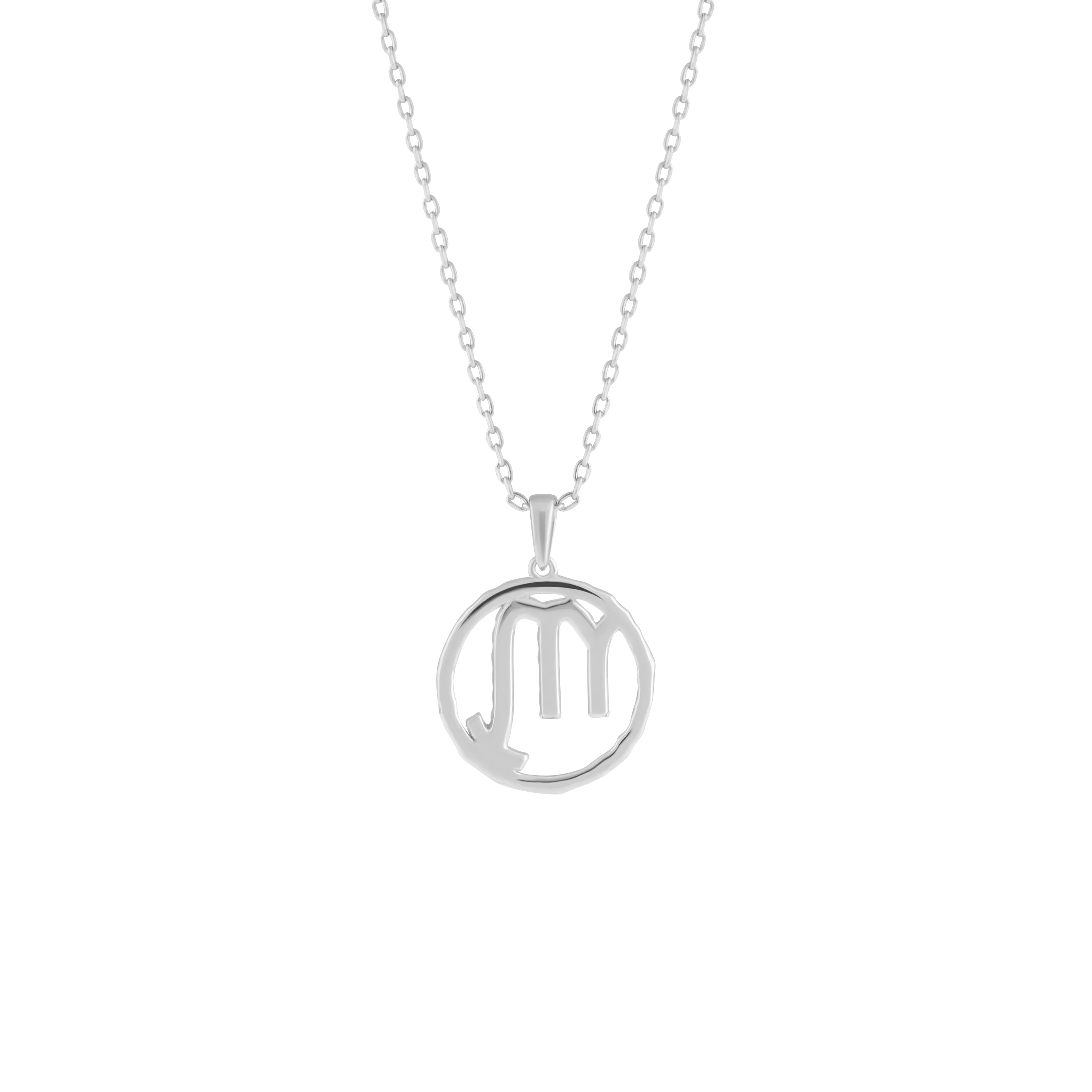 Scorpio medallion pendant necklace