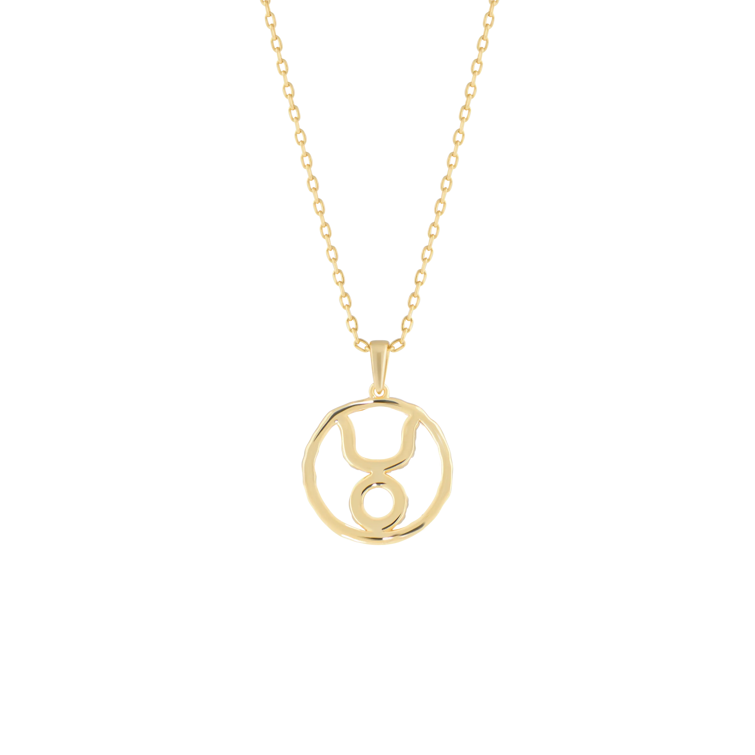 Taurus medallion pendant necklace